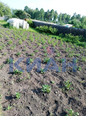 Продам участок 9 соток, Фермерское хоз., Тартат п, 0 км от города