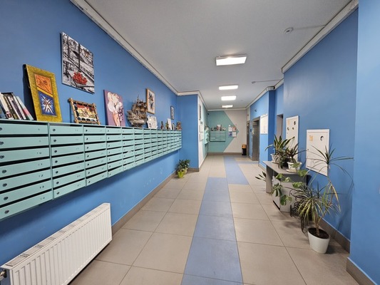 Продам однокомнатную (1-комн.) квартиру, Камова (Зенино ЖК Самолёт мкр.) ул, 6к2, Люберцы г