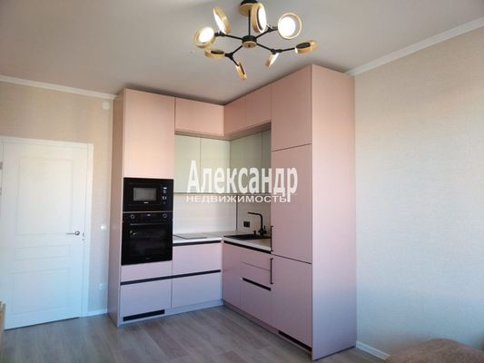 Продам однокомнатную (1-комн.) квартиру, Буденного пр-кт, 24к3, Стрельна п