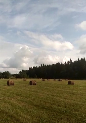 Продам участок 110 соток, ИЖС, Сельцо п, 0 км от города