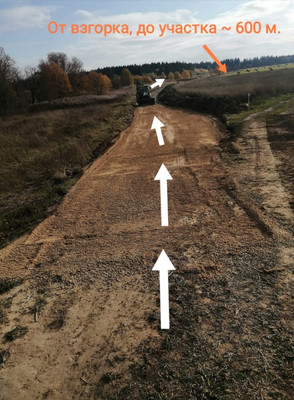 Продам участок 110 соток, ИЖС, Сельцо п, 0 км от города