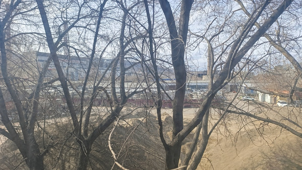 Продам коммерческое помещение 1 005 м2, Мусоргского ул, 19Б, Красноярск г