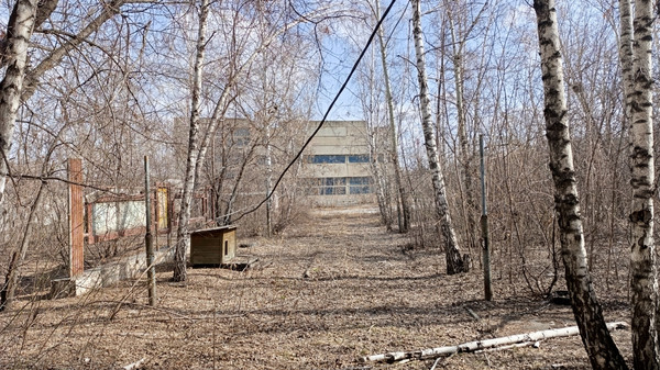 Продам коммерческое помещение 1 005 м2, Мусоргского ул, 19Б, Красноярск г