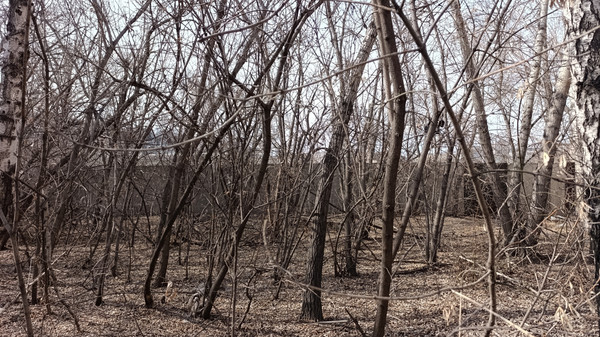 Продам коммерческое помещение 1 005 м2, Мусоргского ул, 19Б, Красноярск г