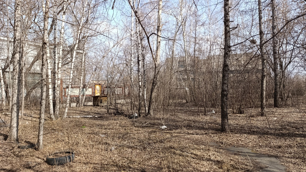 Продам коммерческое помещение 1 005 м2, Мусоргского ул, 19Б, Красноярск г