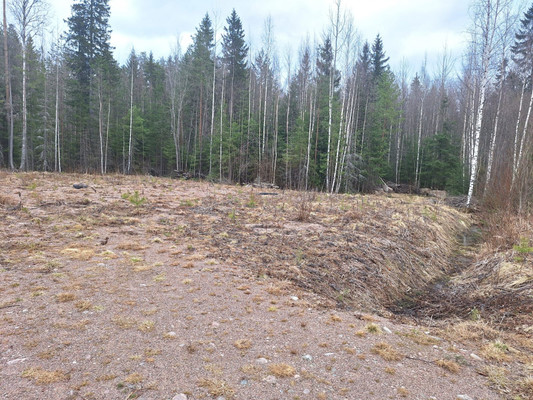 Продам участок 7,5 соток, Фермерское хоз., Сампо тер. СНТ, 0 км от города