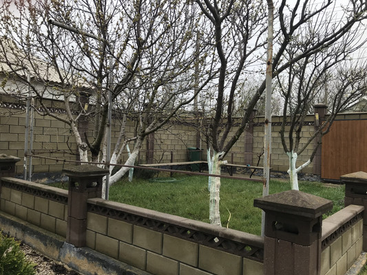 Продам дом, Черниговская ул, 30, Новожиловка с, 0 км от города