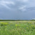 Продам участок 5 соток, Садоводство, Степановское с, 0 км от города