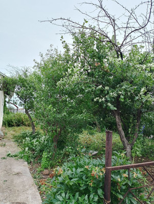 Продам дом, Строителей ул, 8-1, Бавлы г, 0 км от города