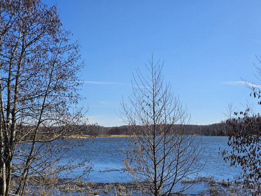 Продам участок 8 соток, Фермерское хоз., Южная ул, Жилево рп, 0 км от города