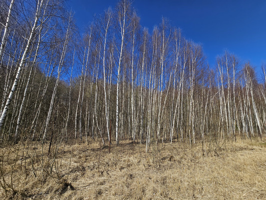 Продам участок 8 соток, Фермерское хоз., Южная ул, Жилево рп, 0 км от города