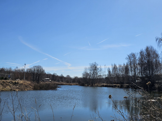 Продам участок 8 соток, Фермерское хоз., Южная ул, Жилево рп, 0 км от города