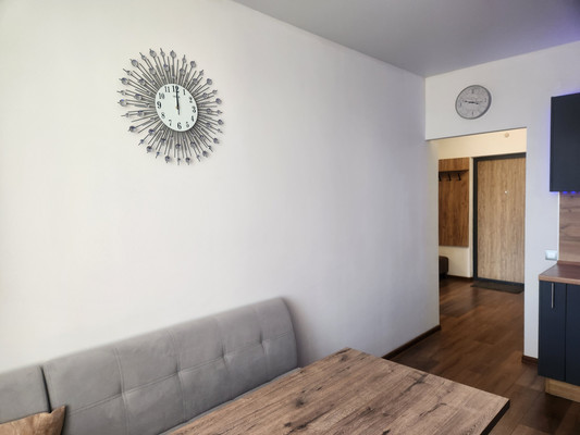 Сдам однокомнатную (1-комн.) квартиру, Богатырский пр-кт, 2АА, Санкт-Петербург г