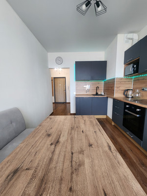 Сдам однокомнатную (1-комн.) квартиру, Богатырский пр-кт, 2АА, Санкт-Петербург г