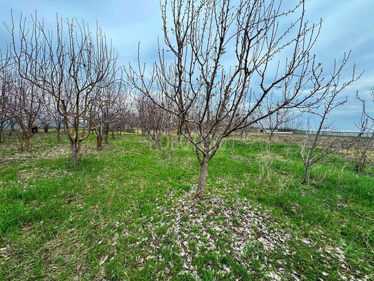 Продам участок 50 соток, ИЖС, 40 лет Октября ул, 40, Красное Поле п, 0 км от города