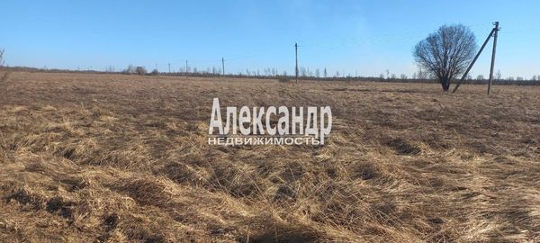 Продам участок 55,87 соток, ИЖС, Пуговкино д, 280 км от города