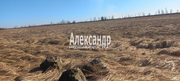 Продам участок 55,87 соток, ИЖС, Пуговкино д, 280 км от города