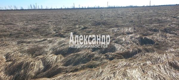 Продам участок 55,87 соток, ИЖС, Пуговкино д, 280 км от города