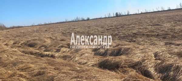 Продам участок 55,87 соток, ИЖС, Пуговкино д, 280 км от города