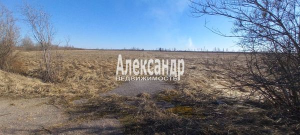 Продам участок 55,87 соток, ИЖС, Пуговкино д, 280 км от города