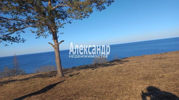 Продам участок 55,87 соток, ИЖС, Пуговкино д, 280 км от города