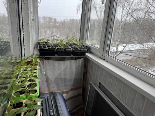 Продам многокомнатную квартиру, Федюнинского проезд, 18, Брянск г
