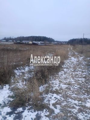 Продам участок 12 соток, СНТ, Солнечная (Урочище Сибиряк тер. СНТ) ул, 4, Плоское д, 366 км от города