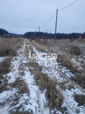 Продам участок 12 соток, СНТ, Солнечная (Урочище Сибиряк тер. СНТ) ул, 4, Плоское д, 366 км от города