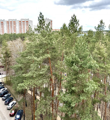Продам однокомнатную (1-комн.) квартиру, 9 Января ул, 300кБ, Воронеж г