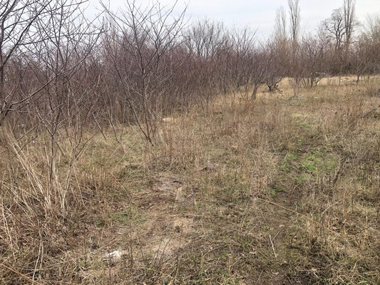 Продам участок 8,25 соток, Советская ул, 6, Октябрьский п, 0 км от города