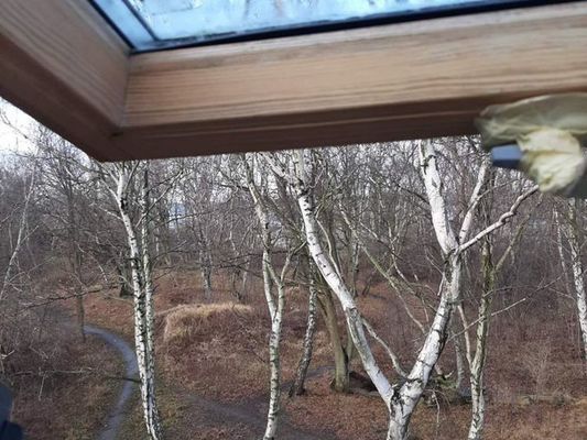 Продам дом, Бурденко ул, 7, Балтийск г, 0 км от города