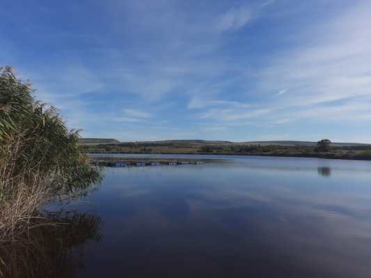 Продам участок 6 соток, Фермерское хоз., Родничок тер. СПК, Ключи с, 0 км от города