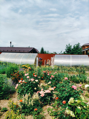 Продам коттедж, Светлая ул, 3, Малая Ельня д, 0 км от города