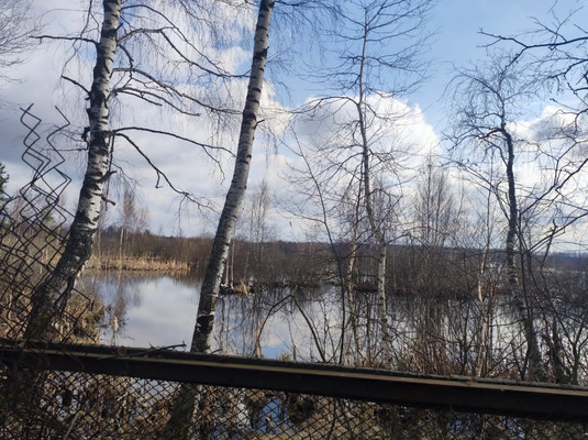 Продам дачу, Восход тер. СНТ, 439, Рекшино (Кантауровский с/с) д, 0 км от города