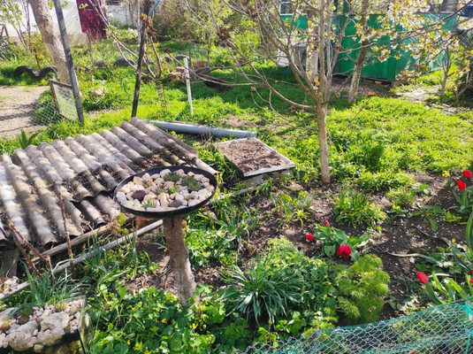 Продам однокомнатную (1-комн.) квартиру, Советская ул, 276, Чистенькое с