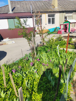 Продам однокомнатную (1-комн.) квартиру, Советская ул, 276, Чистенькое с