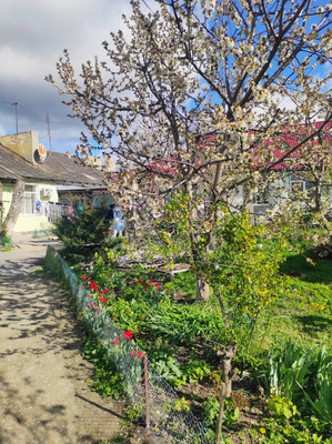 Продам однокомнатную (1-комн.) квартиру, Советская ул, 276, Чистенькое с