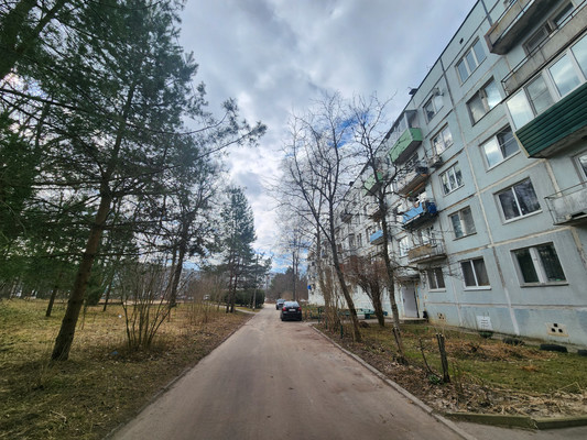 Продам однокомнатную (1-комн.) квартиру, Победы ул, 17, Чернецкое п/о