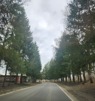Продам однокомнатную (1-комн.) квартиру, Победы ул, 17, Чернецкое п/о