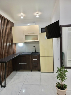 Продам однокомнатную (1-комн.) квартиру, Ленина пр-кт, 46/2, Ростов-на-Дону г