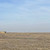 Продам участок 12 соток, ИЖС, Мира ул, 143, Суворовское с, 0 км от города