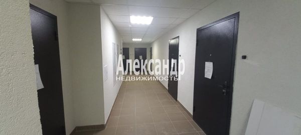 Продам однокомнатную (1-комн.) квартиру, Заводская ул, 18к2, Янино-1 гп