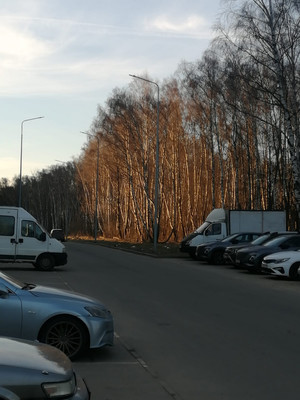 Продам однокомнатную (1-комн.) квартиру, Куприна пр-кт, 30к2, Сосенское п