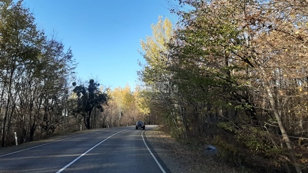 Продам участок 10,4 соток, Садоводство, Тихая ул, Горячий Ключ г, 0 км от города