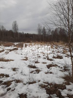 Продам участок 10 соток, Садоводство, Бор п, 150 км от города