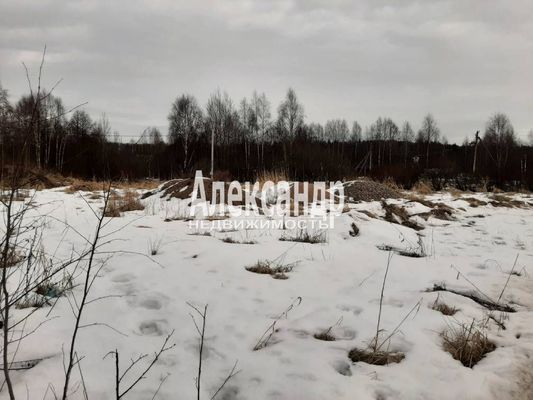 Продам участок 10 соток, Садоводство, Бор п, 150 км от города