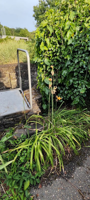 Продам дом, 50 лет Октября ул, 2, Ставропольская ст-ца, 0 км от города