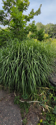 Продам дом, 50 лет Октября ул, 2, Ставропольская ст-ца, 0 км от города