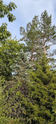 Продам дом, 50 лет Октября ул, 2, Ставропольская ст-ца, 0 км от города