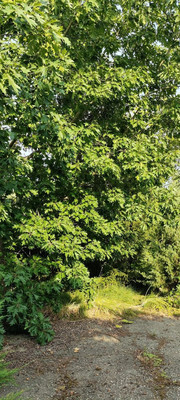 Продам дом, 50 лет Октября ул, 2, Ставропольская ст-ца, 0 км от города